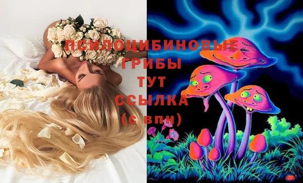 jwh Бронницы